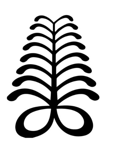 AyaFold fern symbol brand element