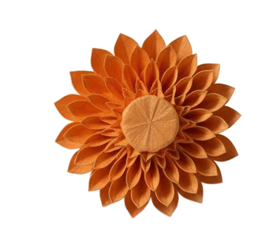 Orange flower visual reference