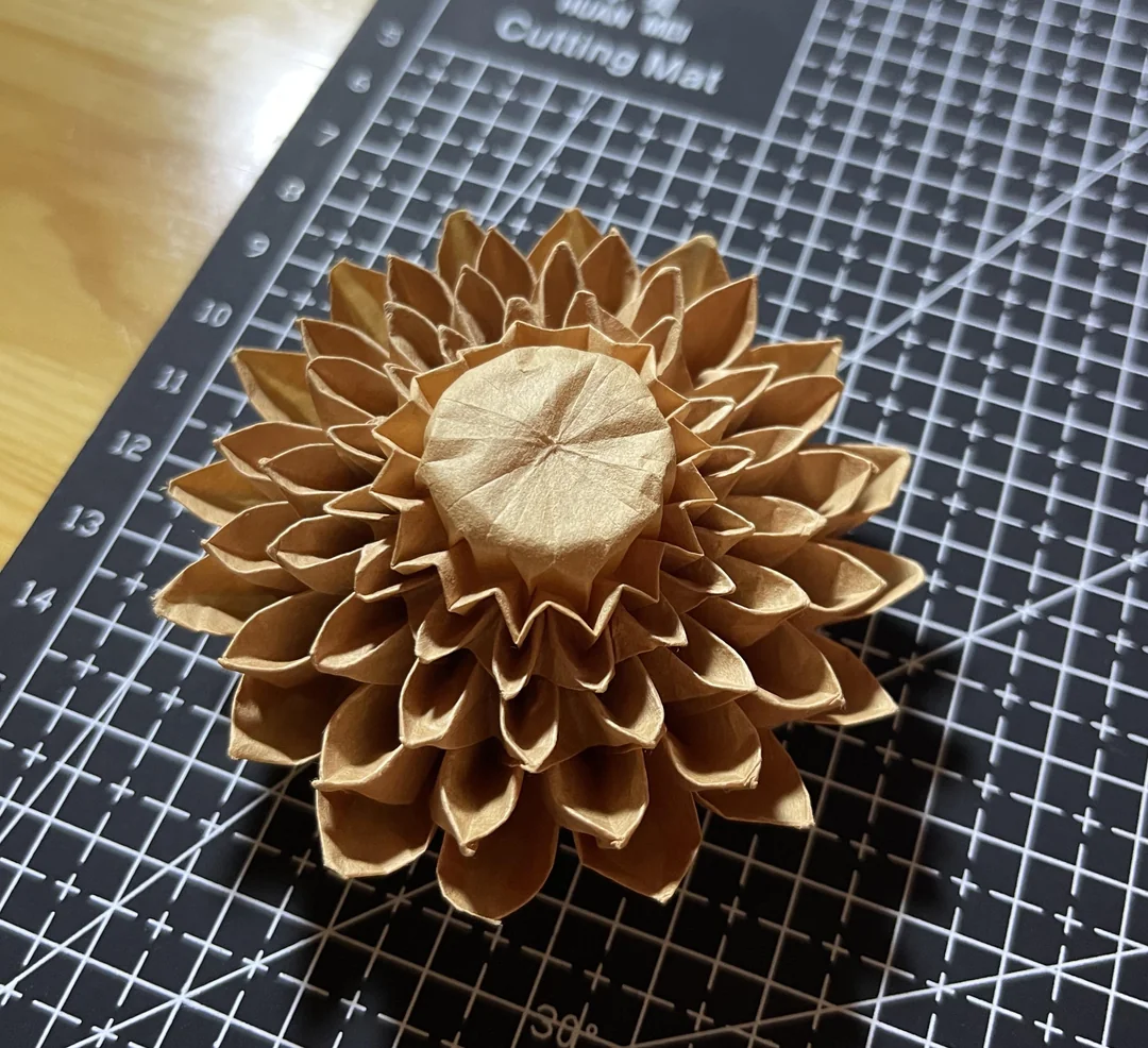 Crease Pattern Diagram