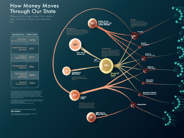 North Carolina public finance data visualization showing state revenue flowing into major service categories