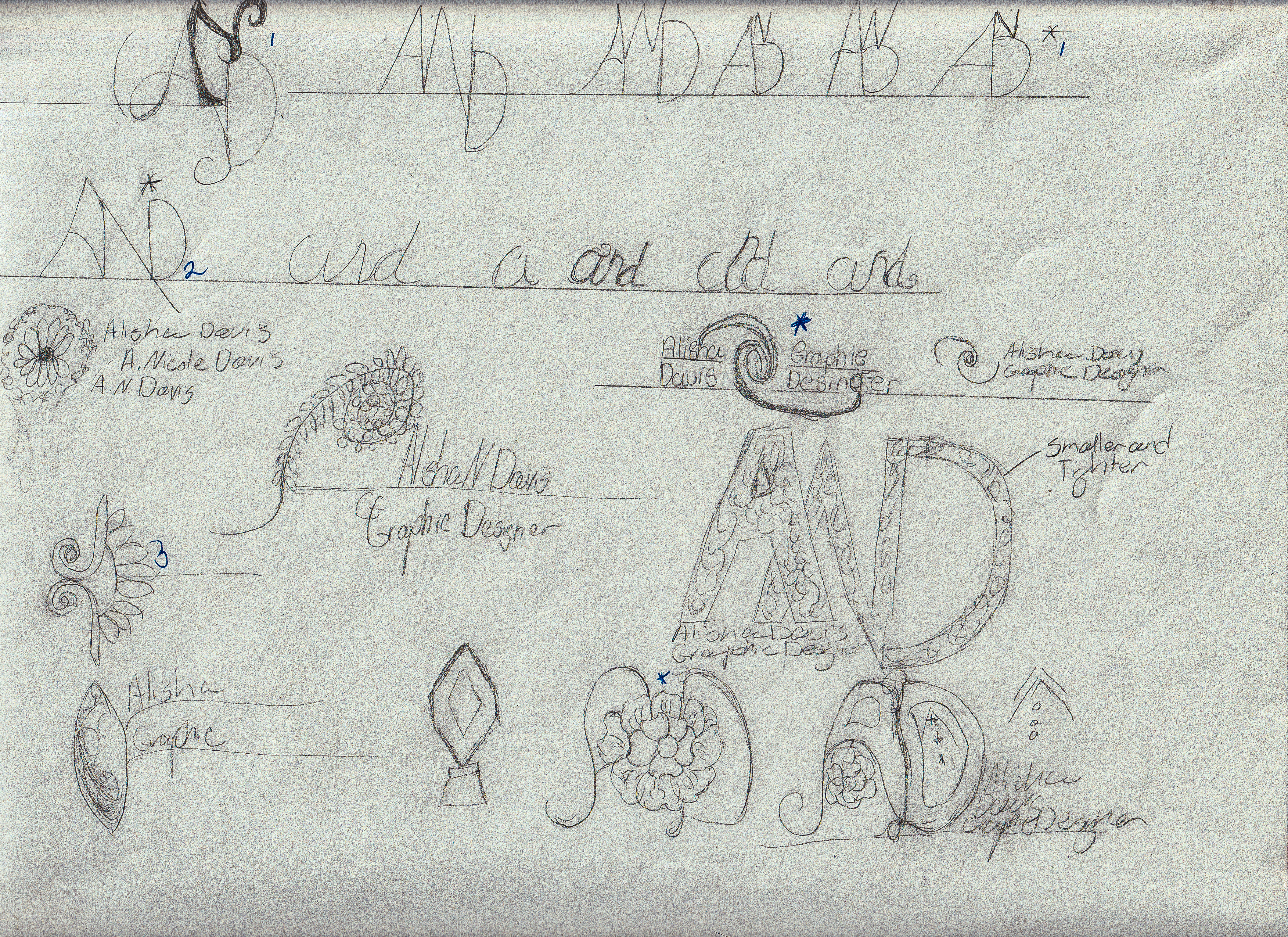 Primary sketch development